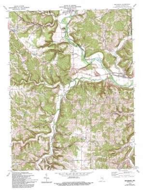 Metamora USGS topographic map 39085d2