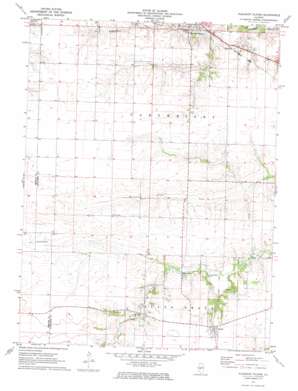 Pleasant Plains USGS topographic map 39089g8