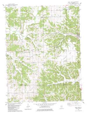 Pearl West topo map