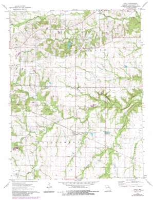 Buell USGS topographic map 39091a4