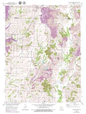 College Mound USGS topographic map 39092e5