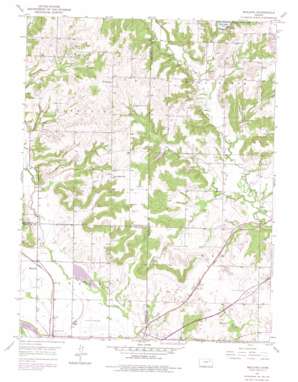 Midland USGS topographic map 39095a2