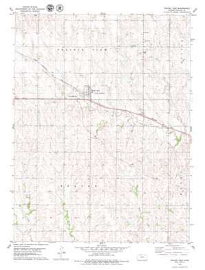 Prairie View USGS topographic map 39099g5