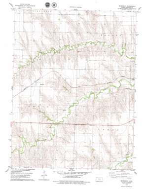 Beardsley USGS topographic map 39101g2