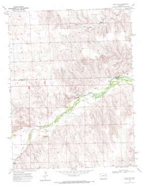 Idalia Sw USGS topographic map 39102e4