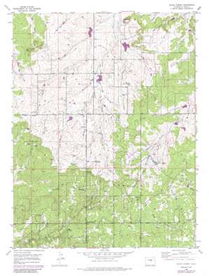 Black Forest USGS topographic map 39104a6