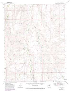 Cattle Gulch USGS topographic map 39104d1