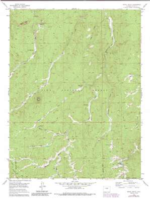 Signal Butte USGS topographic map 39105a2
