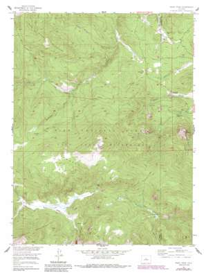 Windy Peak USGS topographic map 39105c4