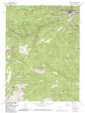 Idaho Springs USGS topographic map 39105f5
