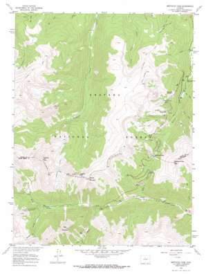 Berthoud Pass USGS topographic map 39105g7
