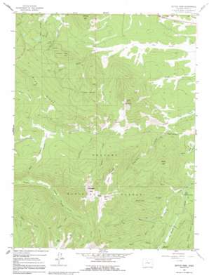 Bottle Pass USGS topographic map 39105h8
