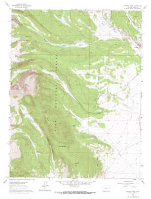 Fairplay West topo map