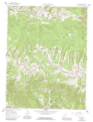 Red Creek topo map