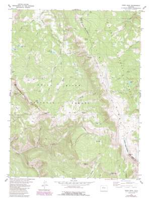 Piney Peak USGS topographic map 39106g4