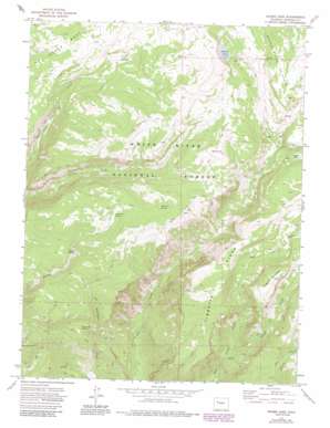 Adams Lake topo map