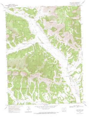 Long Point topo map