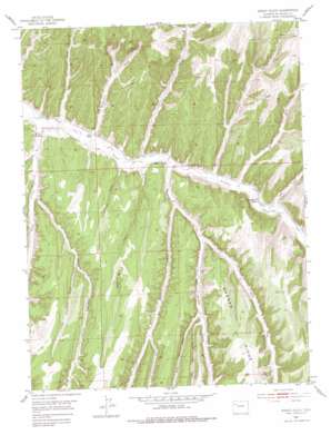 Jessup Gulch USGS topographic map 39108g2