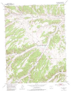 Wolf Ridge USGS topographic map 39108h4