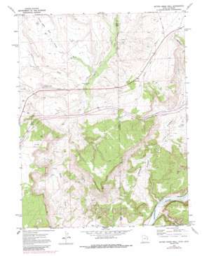 Bitter Creek Well USGS topographic map 39109b1