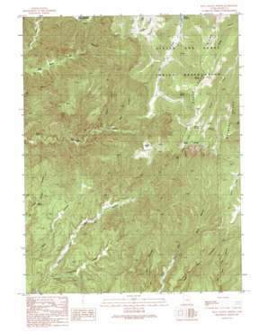 Floy Canyon North topo map