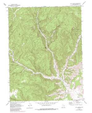 Dry Canyon USGS topographic map 39109c3