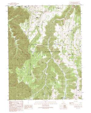 Walker Point USGS topographic map 39109c7