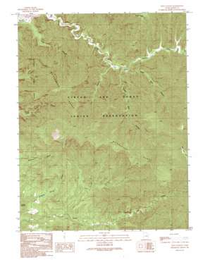 Lion Canyon USGS topographic map 39109c8