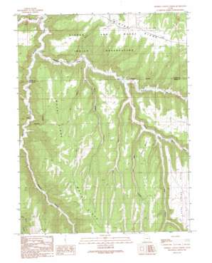 Tenmile Canyon North topo map