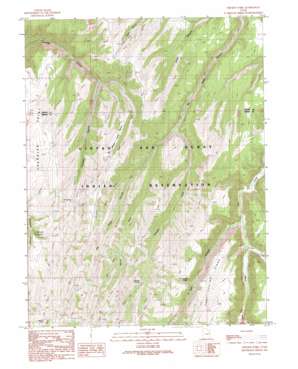 Chicken Fork USGS topographic map 39109d7