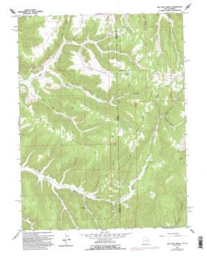 Seep Ridge USGS topographic map 39109e1
