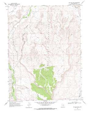 Big Pack Mountain topo map