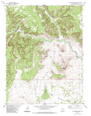 Bottleneck Peak USGS topographic map 39110a6
