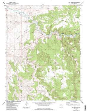 Sids Mountain topo map