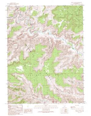 Jenny Canyon USGS topographic map 39110b2