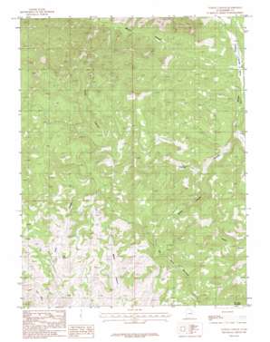 Turtle Canyon USGS topographic map 39110c2