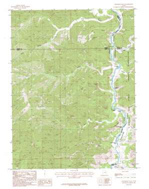 Chandler Falls topo map