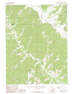 Lighthouse Canyon USGS topographic map 39110d2