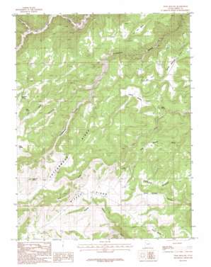 Twin Hollow topo map