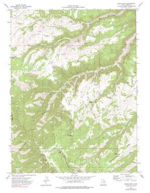Bruin Point USGS topographic map 39110f3