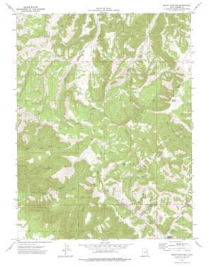 Mount Bartles USGS topographic map 39110f4