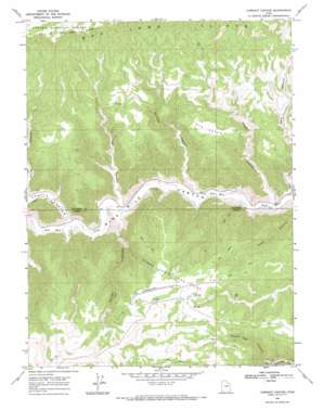 Currant Canyon USGS topographic map 39110g3