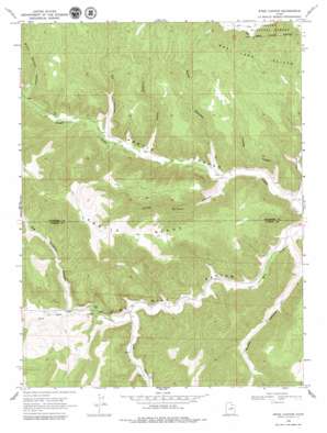 Wood Canyon USGS topographic map 39110g4