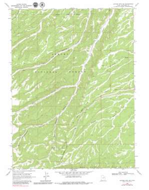 Anthro Mountain NE USGS topographic map 39110h3