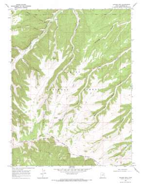 Anthro Mountain USGS topographic map 39110h4