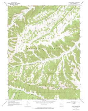Lance Canyon USGS topographic map 39110h5