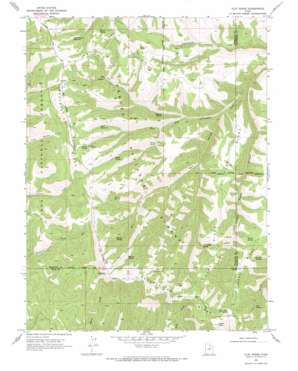 Flat Ridge USGS topographic map 39110h8