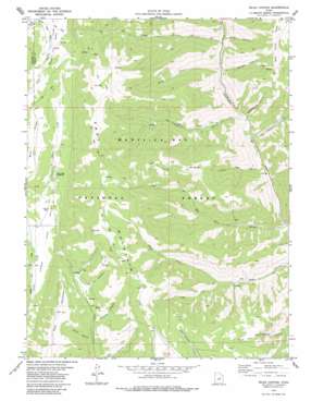 Rilda Canyon USGS topographic map 39111d2