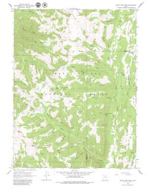 South Tent Mountain USGS topographic map 39111d3