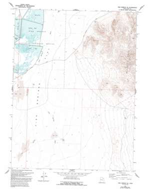 Fish Springs SE USGS topographic map 39113g3